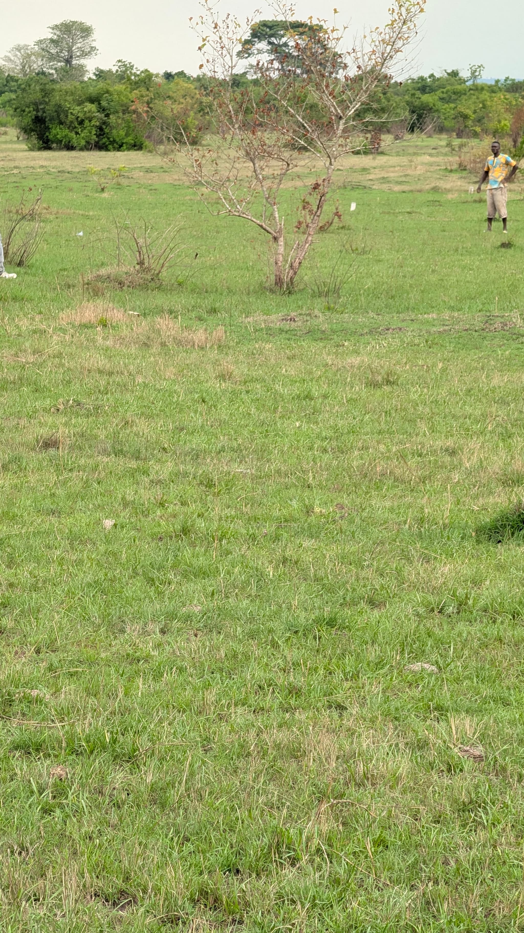 spacious Land for Land
