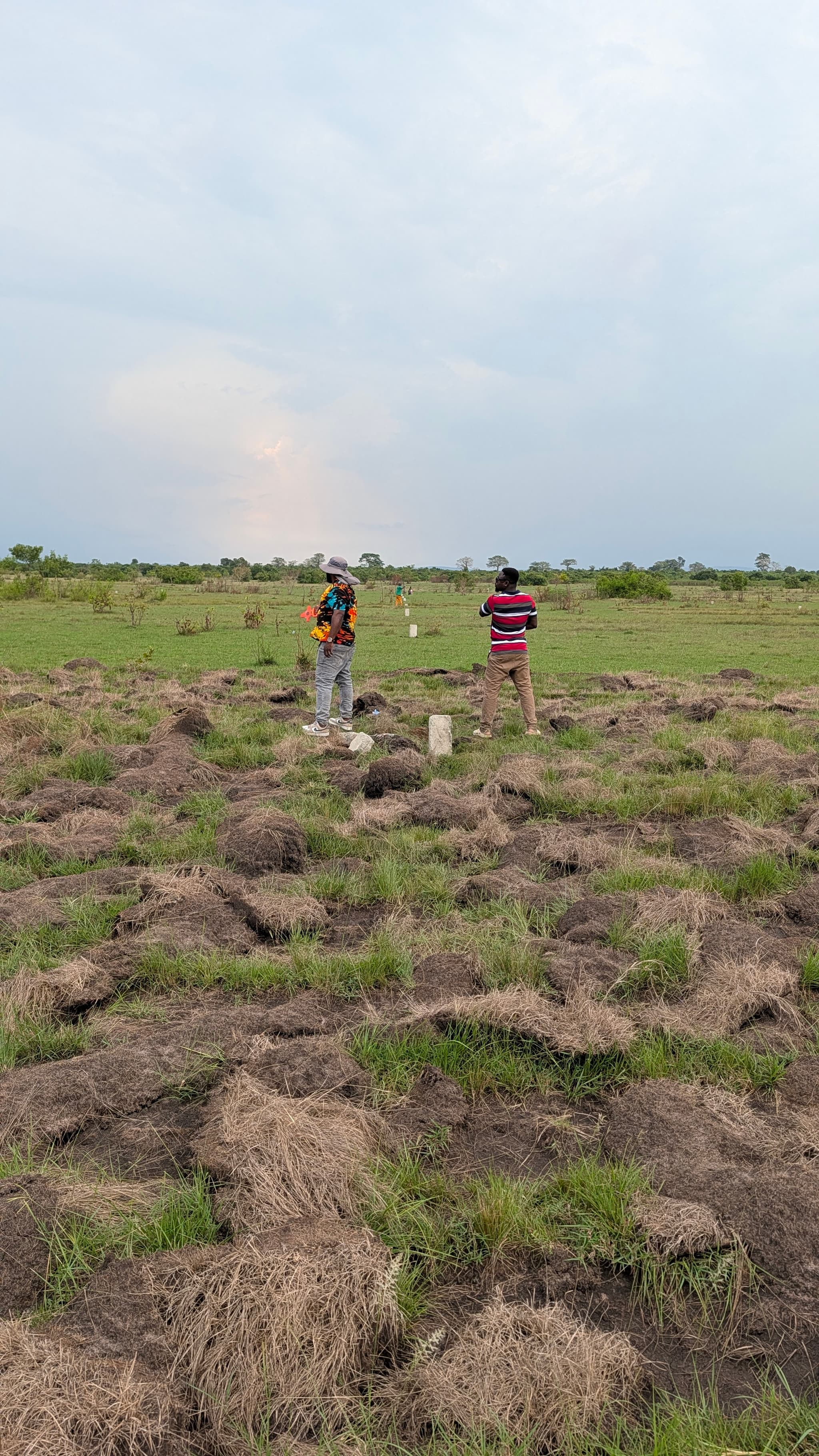 SPACIOUS LAND FOR SALE